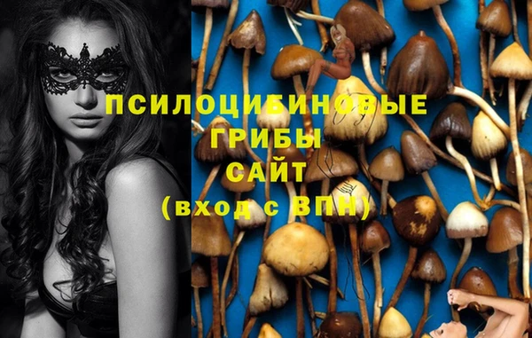 марки lsd Белокуриха