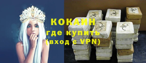 индика Беломорск