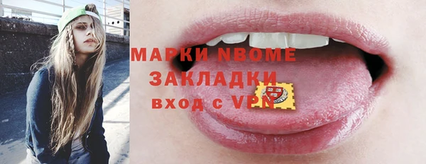 индика Беломорск