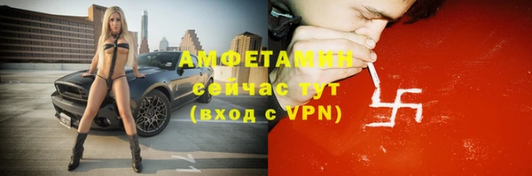 индика Беломорск