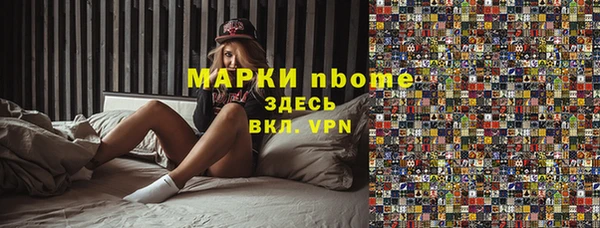 индика Беломорск