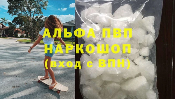 индика Беломорск