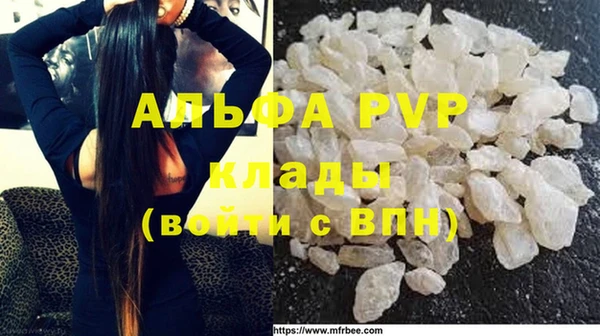 индика Беломорск