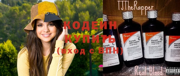 индика Беломорск
