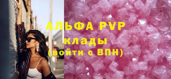 индика Беломорск