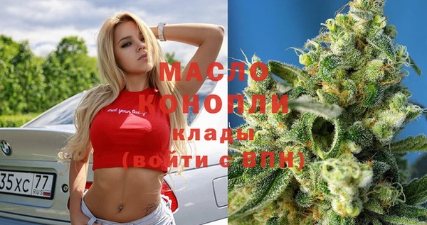индика Беломорск