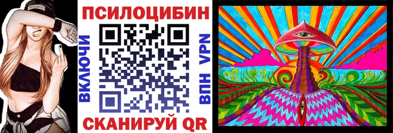 магазин продажи наркотиков  Горячий Ключ  Псилоцибиновые грибы GOLDEN TEACHER 